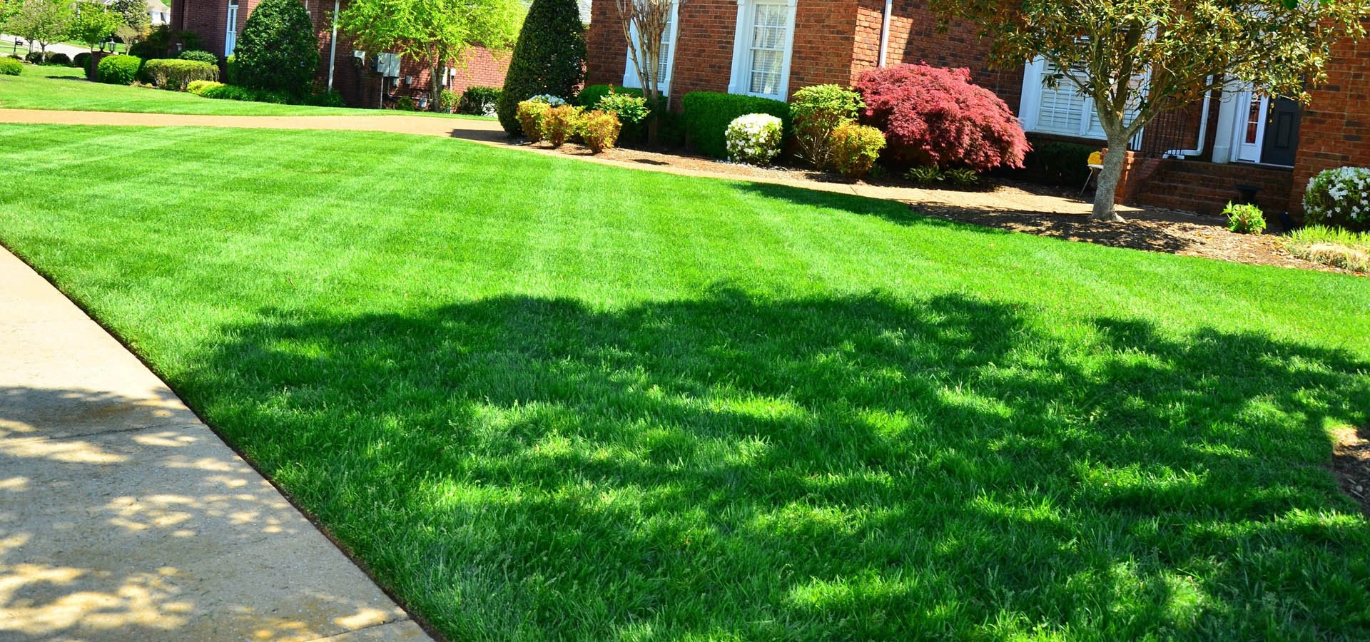Lawn Care & Landscaping Services In Westwood Shores Property Owners